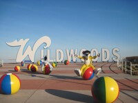 Wildwood Days