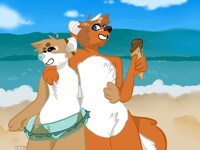 A day at the beach