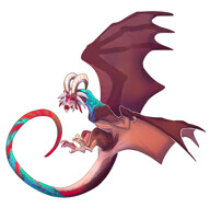 Seagull's flight  training