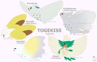 Togekiss Hybrids!