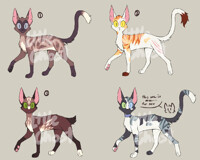 Warrior Cats Adopts [2/2 OPEN] by Demonteethh -- Fur Affinity [dot] net