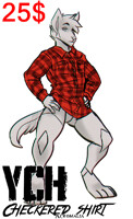 25$ | Checkered Shirt YCH