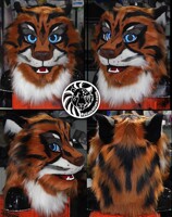 "Majesty" the head - ByCats4Cats