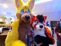 G-Wolf & Mippt (MCFC 17)