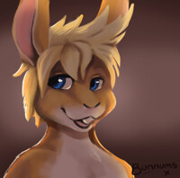 Bunnums ID