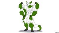 Fit Feline
