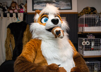 Stop eating weird things