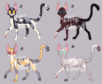 Warrior Cats Adopts [2/2 OPEN] by Demonteethh -- Fur Affinity [dot] net