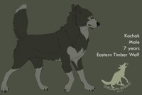 Kochak Ref