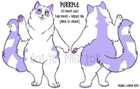 SOLD! Purrple - Longhair Cat Adopt