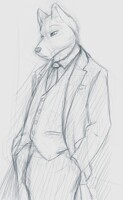 Well Dressed Wolf