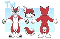 Tint Ref V2