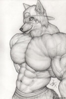 Jonas the Fox