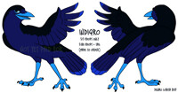 Indiqro - Crow Adoptable