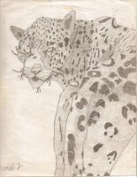 Leopard Pointalism