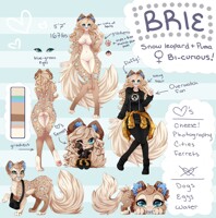 Shaded Brie Reference