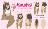 Kandel Reference Sheet