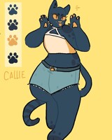 Callie's Colour Sheet