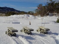 What a wonderfull day...