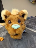 Maple's head is nearly finnished!!