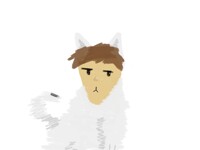 Catman