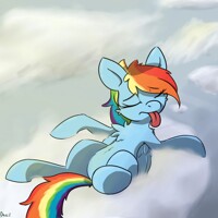 lazy Dash