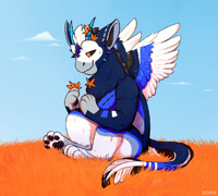 pack2 (3/4) full1 com