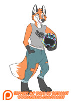 Biker fox!