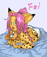 FEI Colored