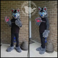 [T] - Spectrum Partial Fursuit