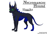 Shazika - Dante-D