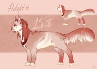 CHARACTER SALE REMINDER