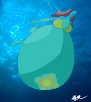 CE - Swimming at its largest