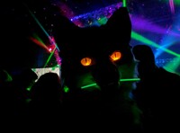 Anthrocon 1:30am