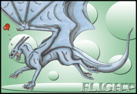 T3h Flight
