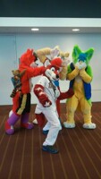 Silly Furries
