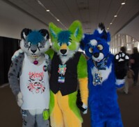 Anthrocon Pictures - You Look Surprised