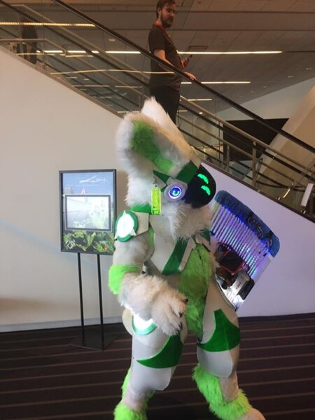 File:French protogen fursuit fluburtur.jpg - Wikipedia