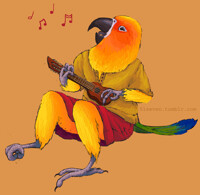 bird bard