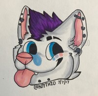 (COM) - Acarlson711 Headshot