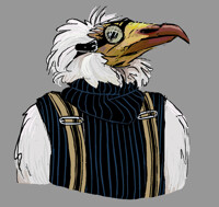 egyptian vulture