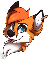 Handsome Foxcoon
