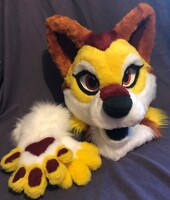 Autumn partial finished