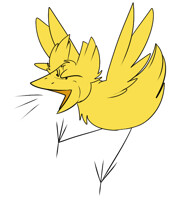 CHIRP CHIRP