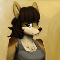 Commission art for Wildcatpilot