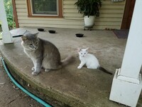 Aspen and Grandpa
