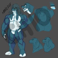Nanu Ref WiP