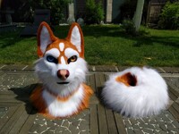 Husky FOR SALE!!