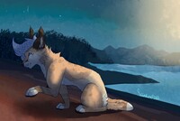 serenity