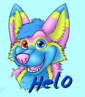 Helo Badge